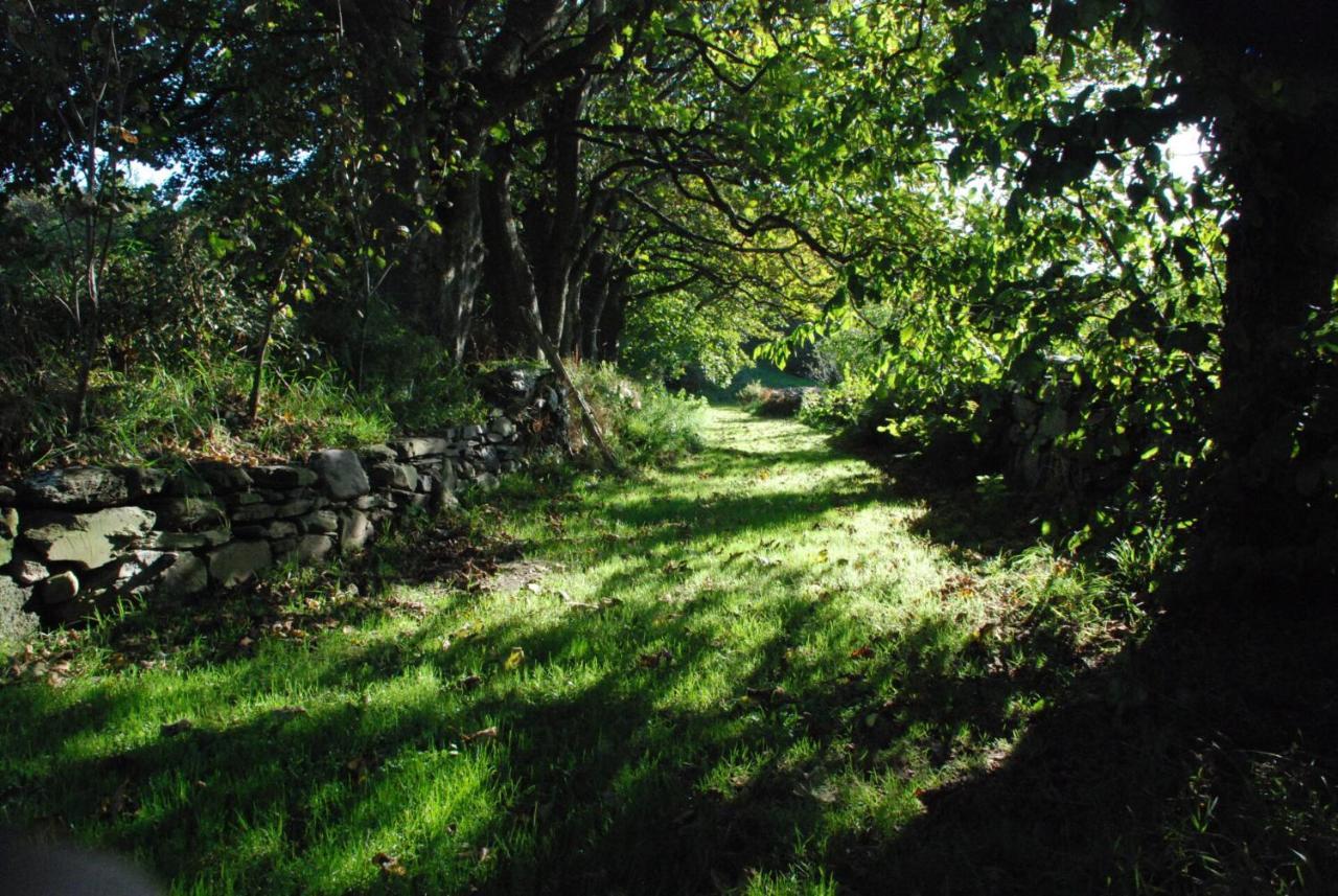 The Long Barn Apartment Skibbereen Bagian luar foto